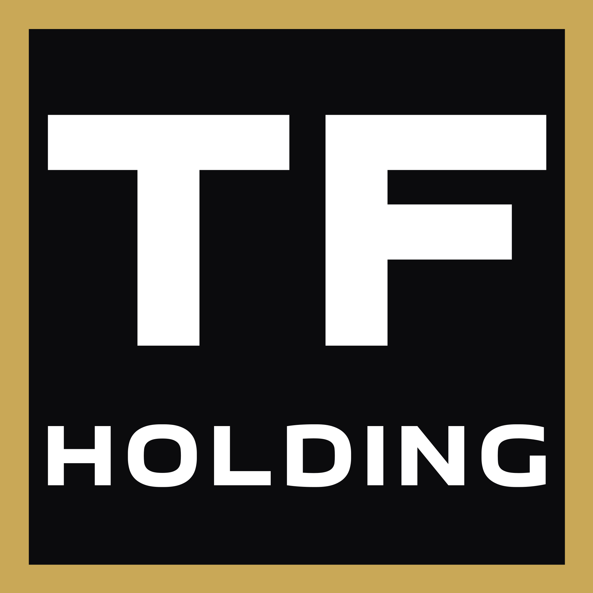 TF HOLDING